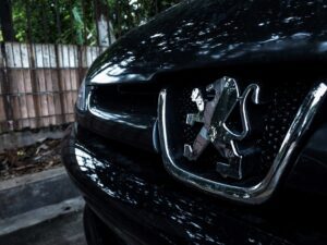 black peugeot badge