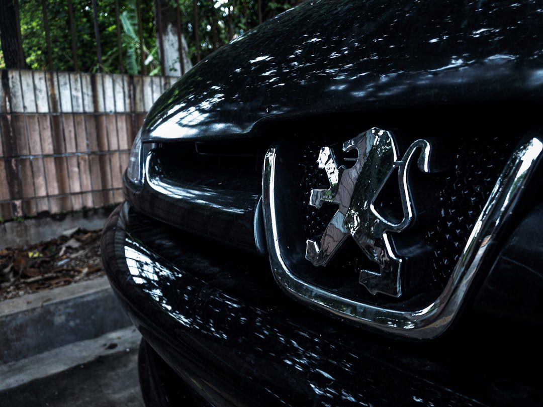 black peugeot badge